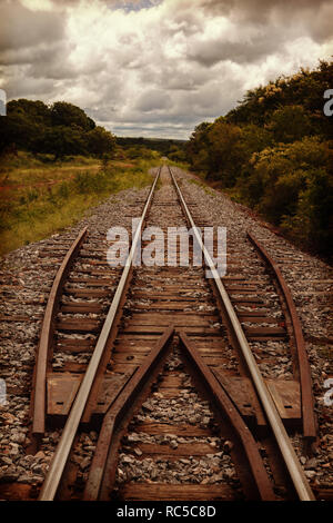 I binari della ferrovia nel mezzo di flora e fauna. Drammatico il cielo con le nuvole. layout verticale Foto Stock