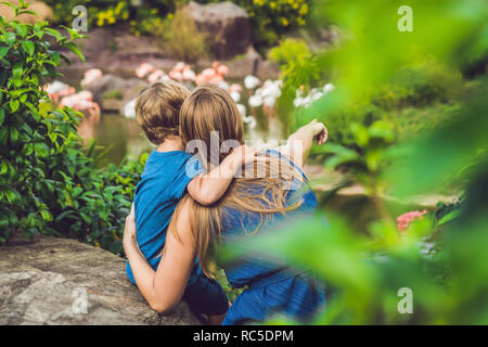 Madre e figlio stanno guardando il gregge di uccelli, di fenicotteri rosa su un laghetto Foto Stock