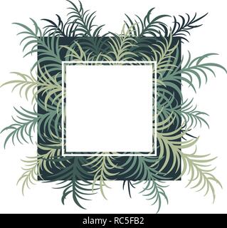 Scheda botanica con foglie di palma. Immagine vettoriale. Eps 10 Illustrazione Vettoriale