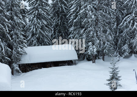 Una cabina nella neve profonda nella parte anteriore della foresta. Foto Stock