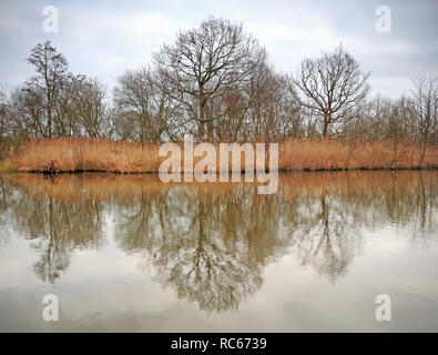 Una vista del fiume Ant in inverno sul Norfolk Broads con riverside riflessioni a Irstead, Norfolk, Inghilterra, Regno Unito, Europa. Foto Stock