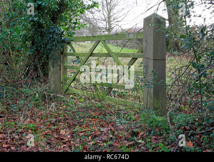 Un tradizionale a 5 bar cancello di legno nella campagna di Norfolk a Irstead, Norfolk, Inghilterra, Regno Unito, Europa. Foto Stock