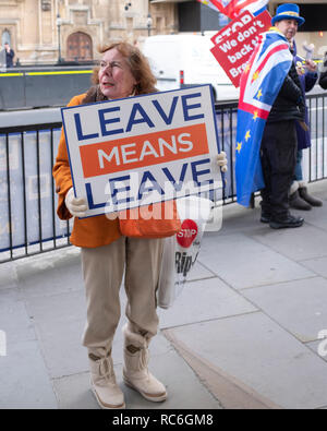 Londra, Regno Unito. 14 gennaio 2019. Femmina Elderley Brexit suppoerter targhetta con credito: David Garcia/Alamy Live News Foto Stock