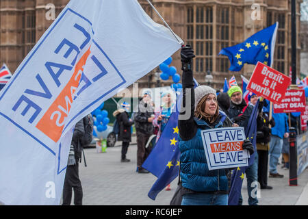 Londra, Regno Unito. 14 gennaio, 2019. Una donna, contro la crescente centralizzazione dell'UE, è diappointed in Parlamento ed è frustrato che lei sente che ha da venire e di protesta contro la possibilità che il risultato del referendum verrà rovesciata - Lasciare significa lasciare e SODEM, pro UE, i manifestanti continuano a fare i loro punti, affiancate al di fuori del Parlamento come il voto su Theresa Maggio del piano è dovuto il giorno successivo. Credito: Guy Bell/Alamy Live News Foto Stock