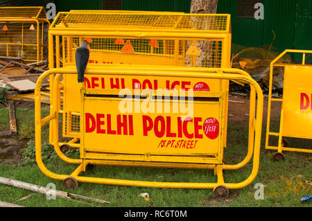 Delhi, Haryana / India - 26 Luglio 2011: un corvo seduto su un recinto della polizia di Delhi. Foto Stock