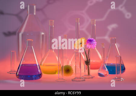 Varietà di riempire parzialmente la vetreria di laboratorio comprese alcune teste di fiori colorati in un ambiente illuminato Foto Stock