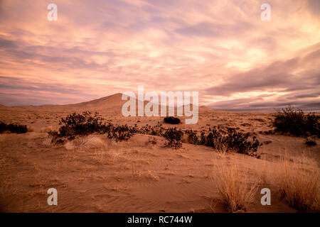 Red cielo incandescente riflessa sulle dune di sabbia, Kelso duna di sabbia, Mojave National Preserve, California Foto Stock