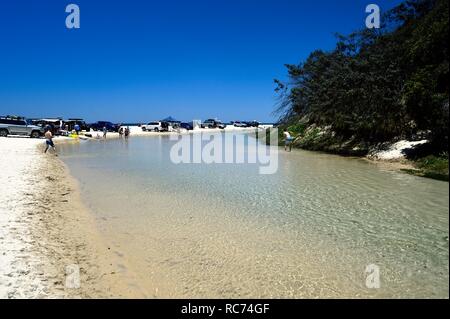 I turisti in riproduzione in Eli Creek, Fraser Island, in Australia Foto Stock