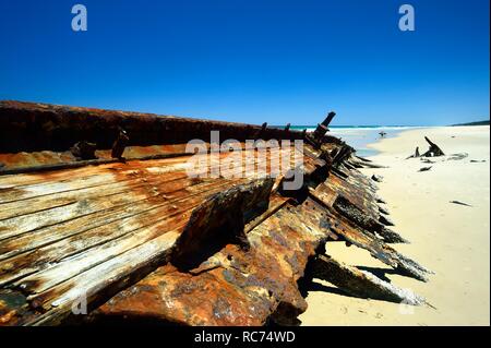 Il naufragio SS Maheno ruggine sulla spiaggia su Fraser Island, in Australia Foto Stock