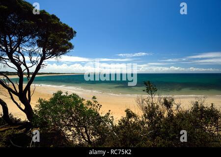 Torquay Beach in Victoria Australia Foto Stock