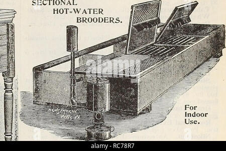 . Dreer's garden calendario : 1899. Cataloghi di sementi; vivaio cataloghi; attrezzature da giardinaggio e fornisce cataloghi; fiori Semi cataloghi; semi di ortaggi cataloghi; frutto Semi cataloghi. No. No. No. No. No. No. :^|^iy^ capacità 20D E5GS 0 incubatore, capacità 50 uova §15 00 per uso interno. Una sezione, capacità 100 pulcini $12 60 due " " 200 " 17 10 tre " " 300 " 21 60 quattro " " 400 " 26 10 n. 288 doppio 1 " ^ anatra speciale }* 100 200 300 400 520 288 20 00 32 00 44 80 56 00 64 00 49 60 dello stato della prateria Indoor chioccia capacità, 100 pulcini. Hot=A Foto Stock