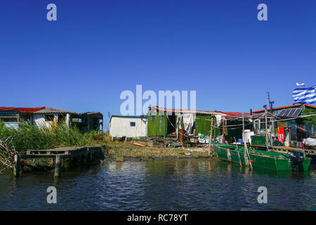 Escursione in barca nel Delta del fiume Evros, Tracia (Tracia), in Grecia. Foto Stock