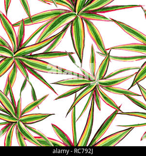 Dracaena marginata tricolore. Acquerello illustrazione dello sfondo impostato. Perfetta configurazione di sfondo. Foto Stock