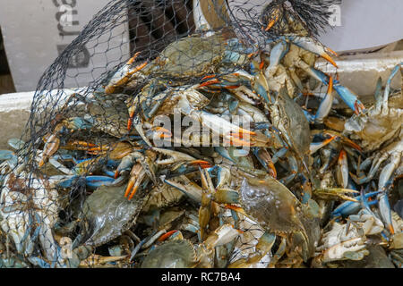 Granchi freschi sul ghiaccio in una fase di stallo a Atene mercato alimentare Foto Stock