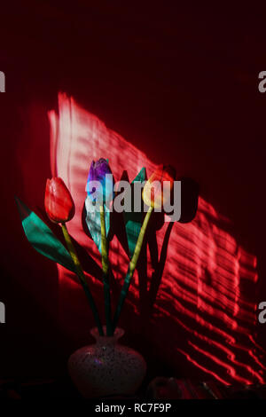 In legno colorato tulip fiori in una stanza buia con illuminazione direzionale attraverso persiane in legno Foto Stock