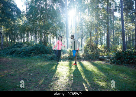 Voce maschile e femminile stretching gambe e il riscaldamento nella foresta soleggiato Foto Stock