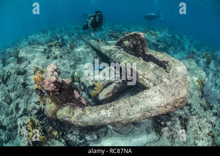 I subacquei esplorare la vita della barriera corallina e vecchi relitti, Alacranes, Campeche, Messico Foto Stock