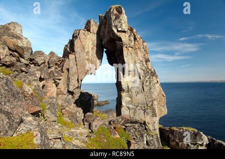 Il paesaggio costiero, il Mare di Barents, Russia, Arctic Foto Stock