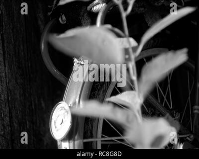 Vecchia bicicletta gettata nel giardino, foto in bianco e nero Foto Stock