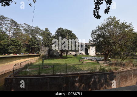 Tiger area soggiorno del Alipore Zoological Garden in Kolkata, India Foto Stock