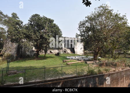 Tiger area soggiorno del Alipore Zoological Garden in Kolkata, India Foto Stock