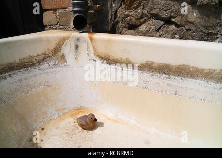 Anatra di plastica in bagno vuoto utilizzato per la raccolta di acqua piovana per il giardino. Tutta l'acqua è stata usata durante un prolungato periodo di siccità. Foto Stock
