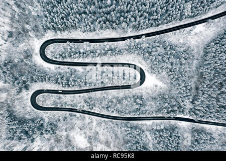 Strada innevata nel mezzo della foresta Foto Stock