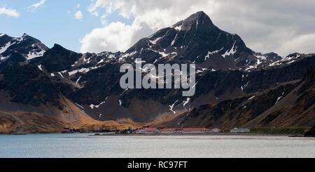 Il re Edoardo Cove, Grytviken, Cumberland Bay, Georgia del Sud Antartide Foto Stock