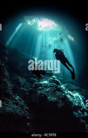 Cenote diving, Tulum, Quintana Roo, Messico Foto Stock