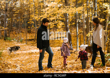 Famiglia di quattro persone e cani in foresta Foto Stock