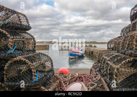 Il villaggio di Beadnell può essere trovato sulla costa di Northumberland circa due miglia a sud est di Seahouses. Porto Beadnell è rivolto a ovest. Foto Stock