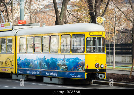 Nostalgico tradizionale giallo "Vienna Ring Tram', un turista la linea del tram a volteggiare il centro di Vienna lungo Ringstrasse. Austria. Foto Stock