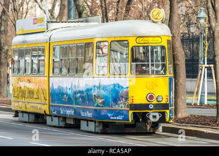 Nostalgico tradizionale giallo "Vienna Ring Tram', un turista la linea del tram a volteggiare il centro di Vienna lungo Ringstrasse. Austria. Foto Stock