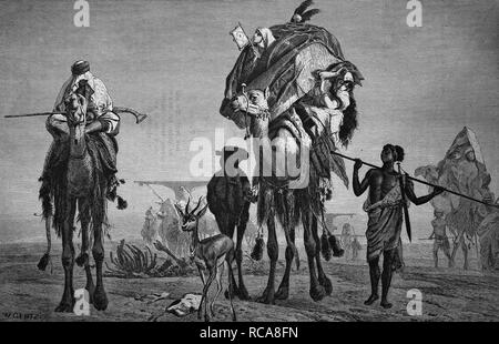 Girovagando harem di un beduino nel deserto, storico xilografia, circa 1870 Foto Stock