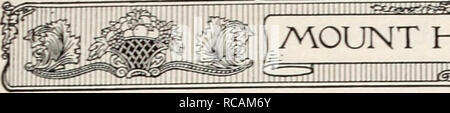 . Ellwanger &AMP; Barry Mt Hope vivai 1916. Vivai (orticoltura) cataloghi; Rose semi cataloghi; Fragole cataloghi; lampadine (piante) Cataloghi Cataloghi di frutta; fiori cataloghi. Quantità di speranza vivai. Si prega di notare che queste immagini vengono estratte dalla pagina sottoposta a scansione di immagini che possono essere state migliorate digitalmente per la leggibilità - Colorazione e aspetto di queste illustrazioni potrebbero non perfettamente assomigliano al lavoro originale. Mount Hope vivai; Ellwanger &AMP; Barry; Henry G. vivaio di Gilbert e il commercio di sementi Catalogo Collezione. Rochester, N. Y. : Ellwanger &AMP; Barry Foto Stock