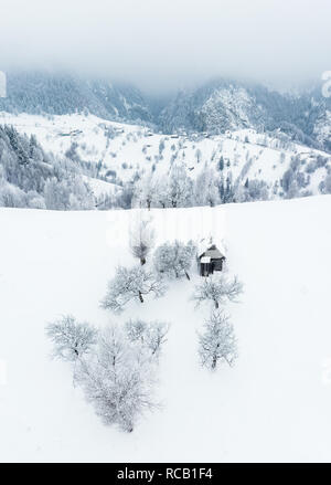 Inverno in Romania nel villaggio Sirnea vicino a Bran e Brasov Foto Stock