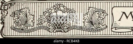 . Ellwanger &AMP; Barry Mt Hope vivai. Vivai (orticoltura) cataloghi; Rose semi cataloghi; Fragole cataloghi; lampadine (piante) Cataloghi Cataloghi di frutta; fiori cataloghi. TnOUNT speranza TsajRSERJES. Si prega di notare che queste immagini vengono estratte dalla pagina sottoposta a scansione di immagini che possono essere state migliorate digitalmente per la leggibilità - Colorazione e aspetto di queste illustrazioni potrebbero non perfettamente assomigliano al lavoro originale. Mount Hope vivai; Ellwanger &AMP; Barry; Henry G. vivaio di Gilbert e il commercio di sementi Catalogo Collezione. Rochester, N. Y. : Ellwanger &AMP; Barry Foto Stock