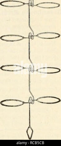 . Dreer del catalogo autunno di bulbi piante, arbusti, e sementi per la semina di caduta. Semi di fiori di cataloghi; lampadine (piante) Semi cataloghi; Vivai (orticoltura) cataloghi; attrezzature da giardinaggio e i cataloghi dei materiali di consumo. Garofano e la bocca di leone sup- porto, la perfezione. Il più semplice e durevole e disposizione pratica ad uso della serra disponibile. Ciascun anello onu- ganci permettendo che racchiude una nuova crescita senza il pericolo di rotture o ammaccature. Altezza totale, 36 pollici, anelli misura 6j pollici in diametro. 12 per $2,25; 100 per $15.00. Pali, Filo di ferro zincato. diametro i pollici. Lunghezza Doz. 2 ft. $0 20 3 F Foto Stock