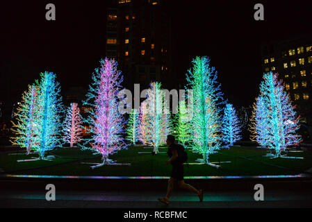 Londra, UK 14 gennaio 2019. Un uomo corre passato arte di installazione Sasha alberi da Adam Decolight. : Claire Doherty/Alamy Live News Foto Stock