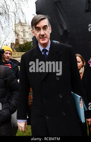 Londra, Regno Unito. 15 gennaio, 2019. Giacobbe Rees- Mogg mp conservatore, su College Green davanti a questa sera votare su PM Theresa Maggio Brexit della trattativa. Credito: claire doherty/Alamy Live News Foto Stock