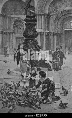 Alimentazione di piccioni in Piazza San Marco a Venezia, Italia, storica incisione, 1883 Foto Stock