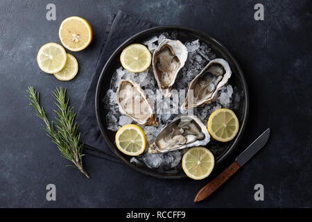 Ostriche fresche in una lastra di ghiaccio su sfondo nero Foto Stock