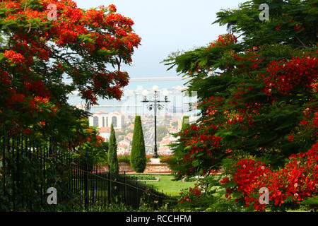 Vista dei giardini Bahai sul monte Carmelo di Haifa, Israele Foto Stock