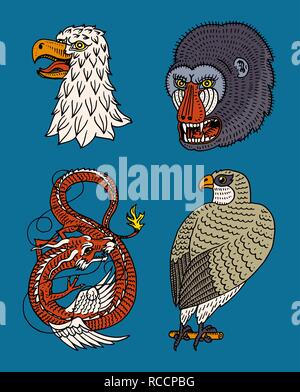 Testa di animale selvatico predatore. Eagle Falcon muso di scimmia e il Drago Cinese. Stile giapponese ritratti. Disegnato a mano monocromatico inciso vecchio bozzetto per i logo retrò. Illustrazione Vettoriale