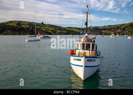 Akaroa, Nuova Zelanda - 7 Gennaio 2019: un pescatore ritorna alla sera con la sua cattura dopo una giornata di lavoro Foto Stock