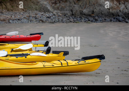 Flea Bay, Penisola di Banks, Nuova Zelanda - 6 Gennaio 2019: Canoe sulla spiaggia pronti per i turisti per andare su un Wildlife Experience Foto Stock