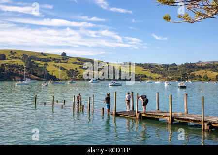 Akaroa, Nuova Zelanda - 6 Gennaio 2019: nuotatori rinfrescarsi nella baia su una calda serata estiva Foto Stock