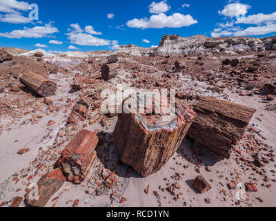 Legno pietrificato lungo la vecchia strada in Jasper Forest area, Parco Nazionale della Foresta Pietrificata, Arizona. Foto Stock