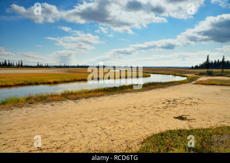 Pianure di sale il canale dell'acqua, Parco Nazionale Wood Buffalo, Alberta, Canada Foto Stock