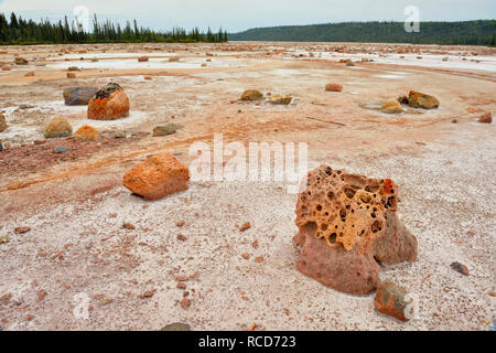 Le saline al Lago Grosbeak- con sale inciso-massi erratici, Parco Nazionale Wood Buffalo, Albert, Canada Foto Stock